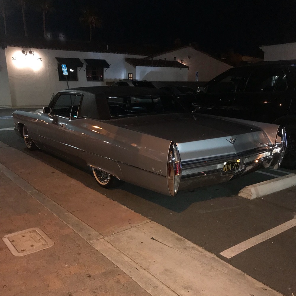 Meet your Posher, Larry